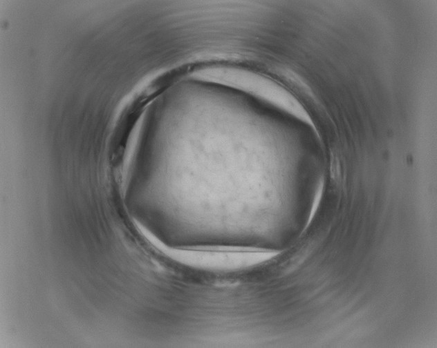 X0000076230388200610261856