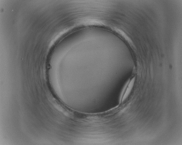 X0000076230391200610261856