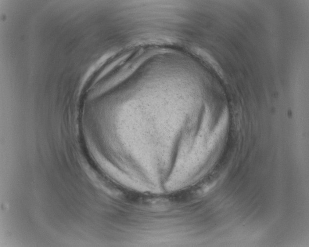 X0000076230395200610261855