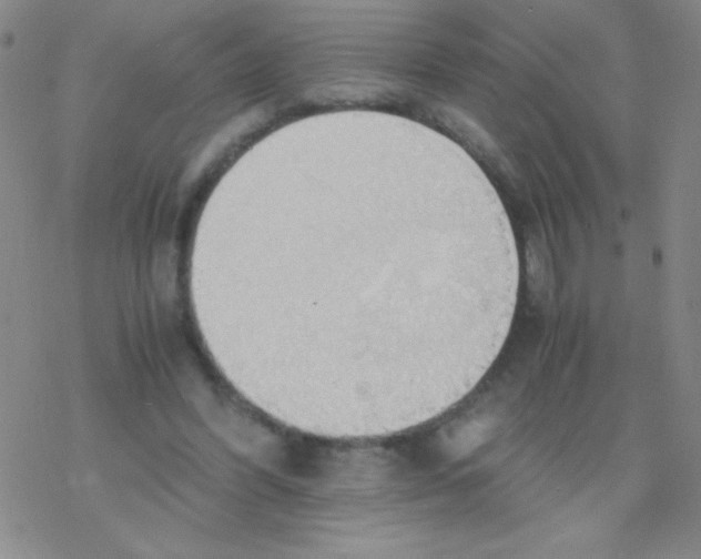 X0000076230396200610261855
