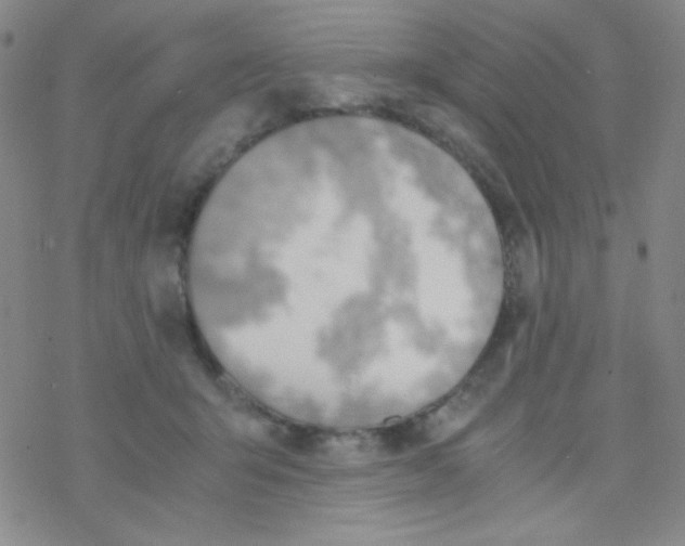 X0000076230415200610261855
