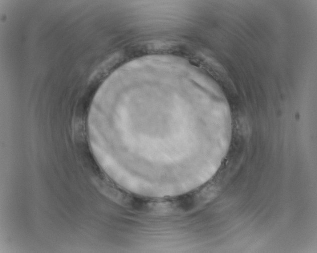 X0000076230419200610261855