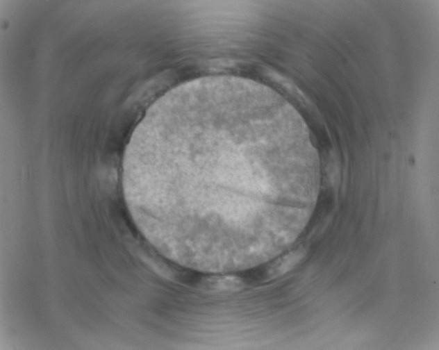 X0000076230427200610261855