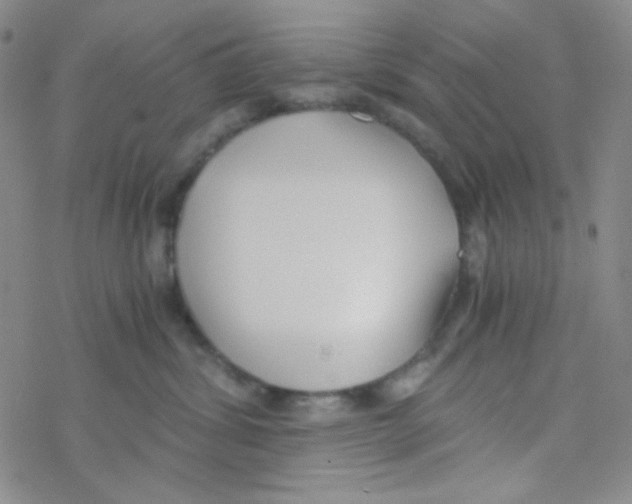 X0000076230428200610261855