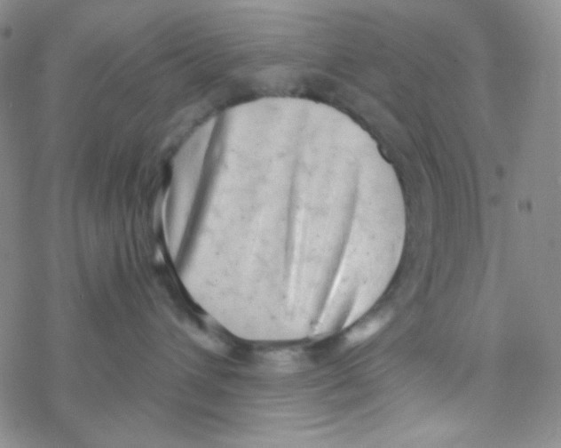 X0000076230432200610261855