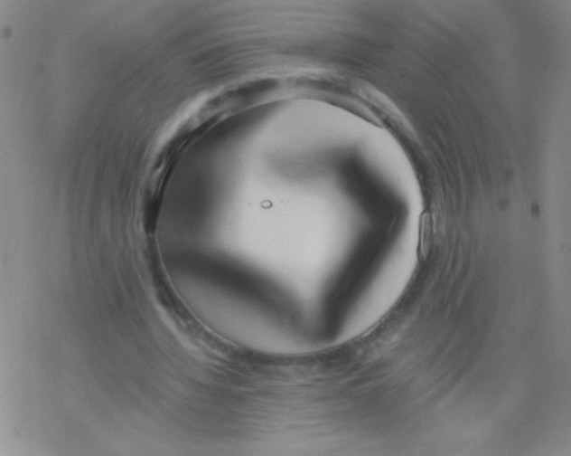 X0000076230436200610261854