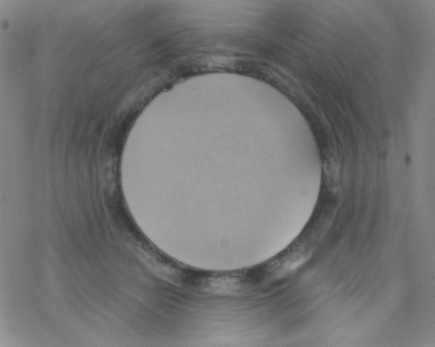X0000076230462200610261855