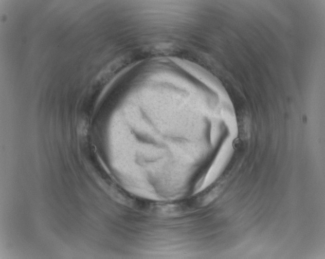 X0000076230472200610261855