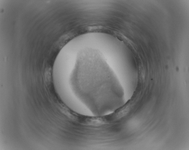 X0000076230475200610261855