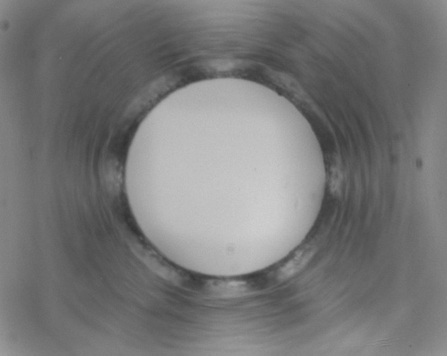 X0000076230476200610261855