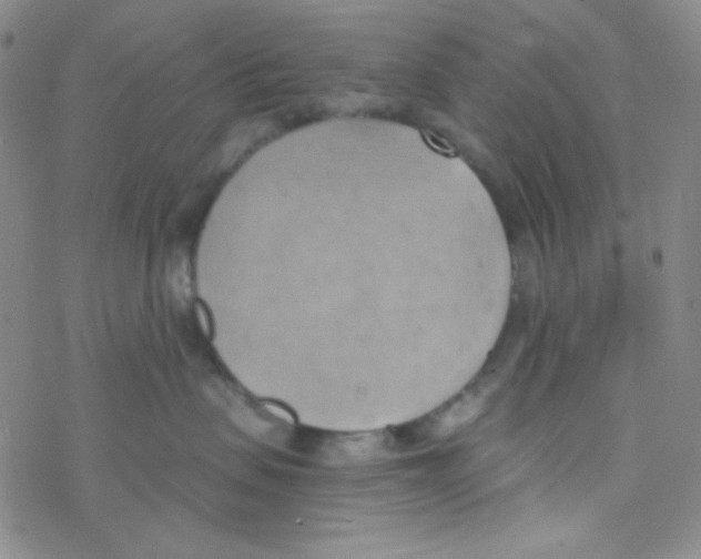 X0000076230479200610261855