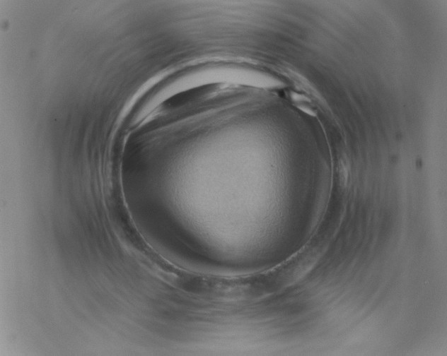 X0000076230484200610261854