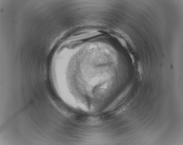 X0000076230496200610261854