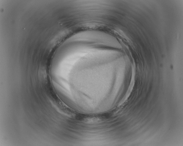 X0000076230500200610261854
