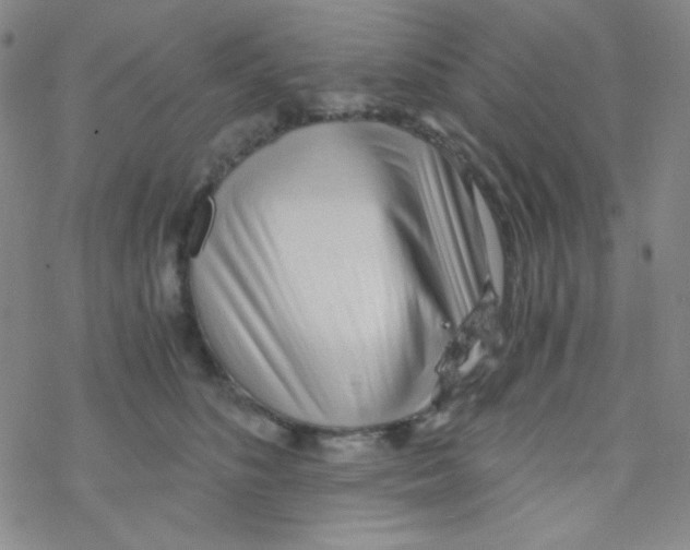 X0000076230516200610261854