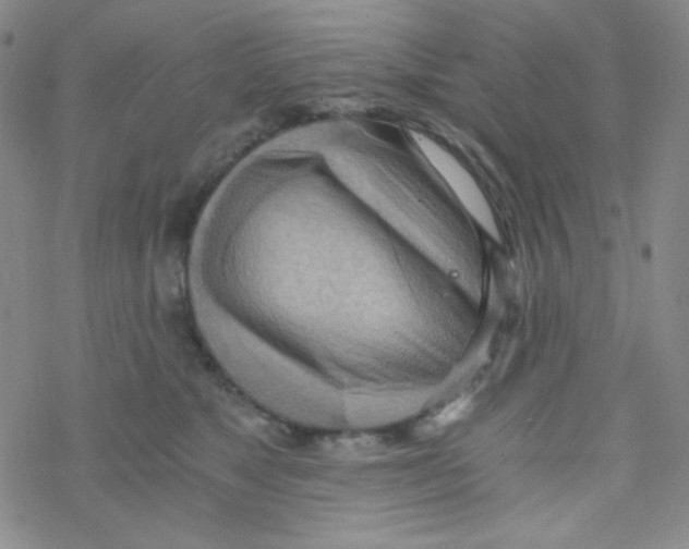 X0000076230517200610261853