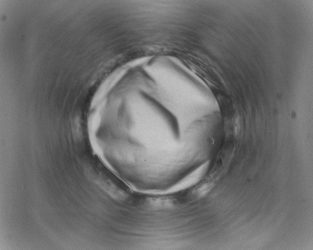 X0000076230520200610261853
