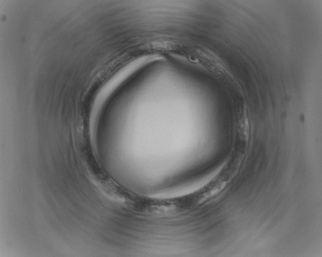 X0000076230552200610261853