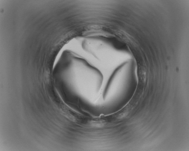 X0000076230556200610261853