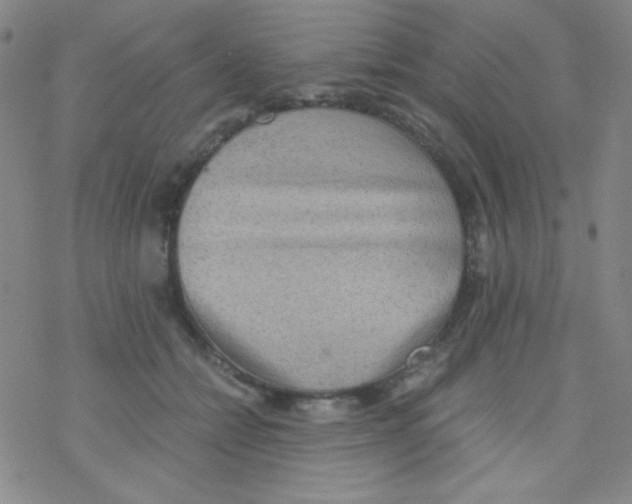 X0000076230558200610261853