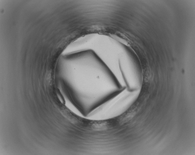 X0000076230560200610261853
