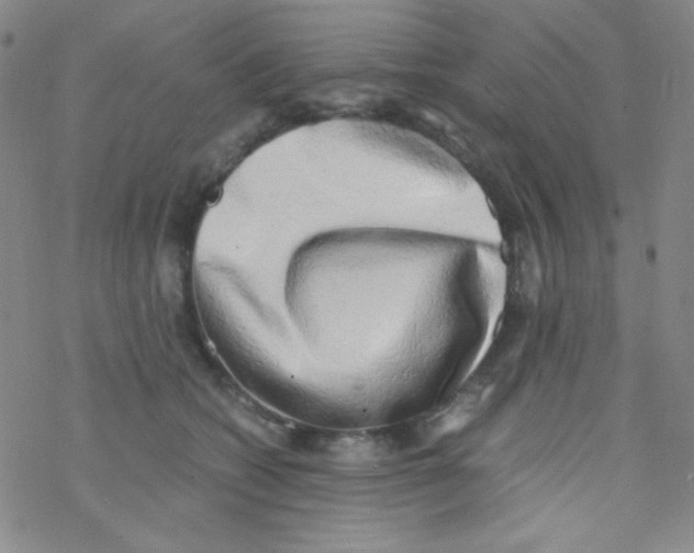 X0000076230562200610261853