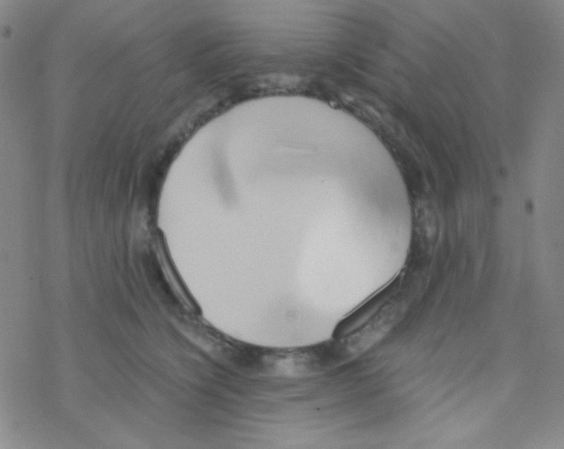 X0000076230564200610261853