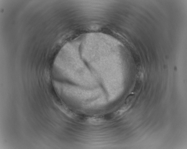 X0000076230568200610261853