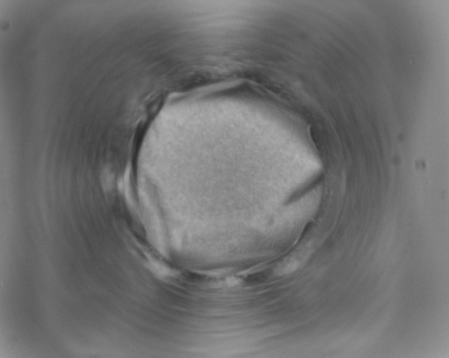 X0000076230576200610261853