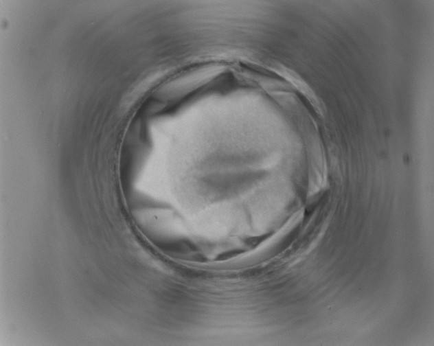 X0000076230577200610261853