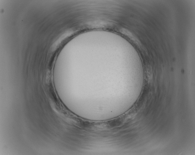 X0000076230583200610261852