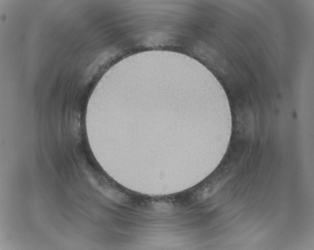 X0000076230592200610261852