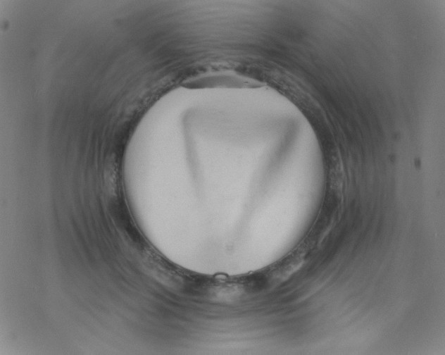 X0000076230604200610261852