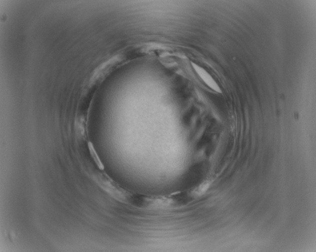 X0000076230621200610261852