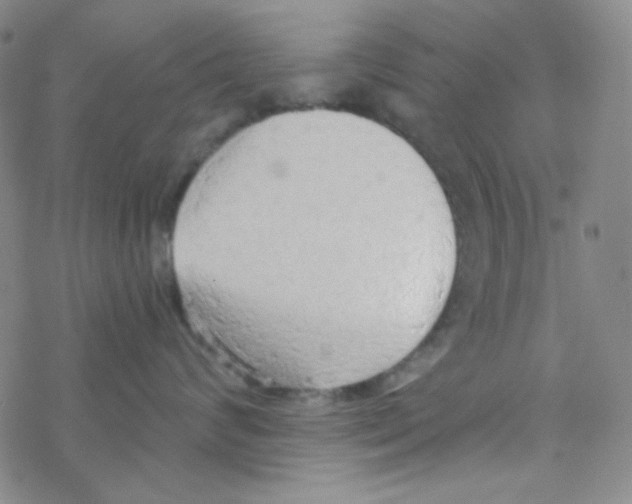 X0000076230624200610261852