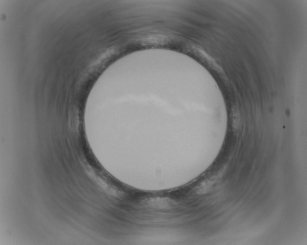 X0000076230637200610261851