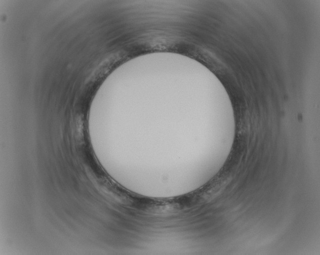 X0000076230646200610261851