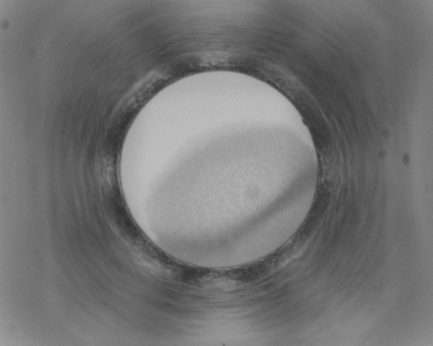X0000076230648200610261851