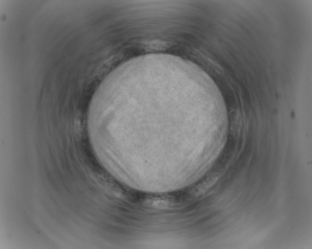 X0000076230655200610261851