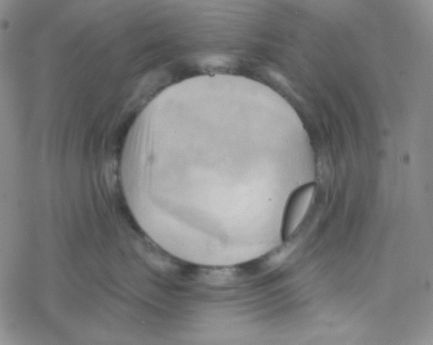 X0000076230671200610261852