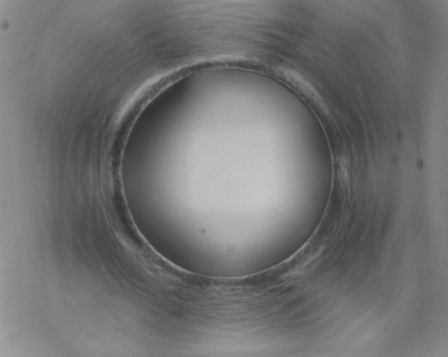 X0000076230676200610261851