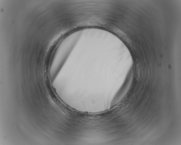 X0000076230680200610261851
