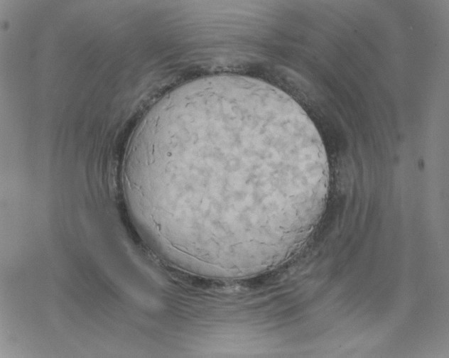 X0000076230695200610261851