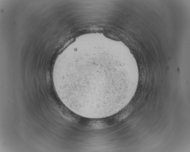 X0000076230704200610261850