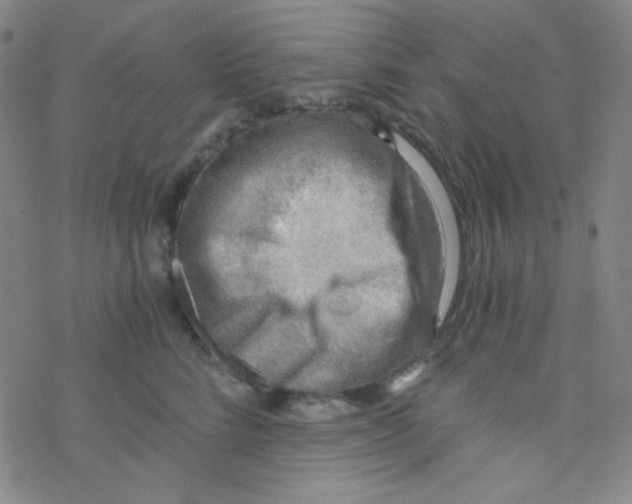 X0000076230712200610261850