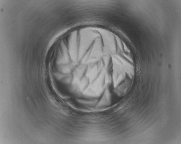 X0000076230724200610261849