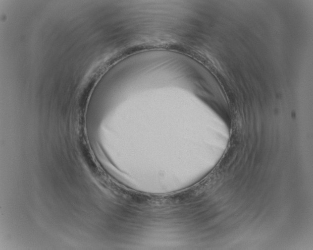 X0000076230736200610261850