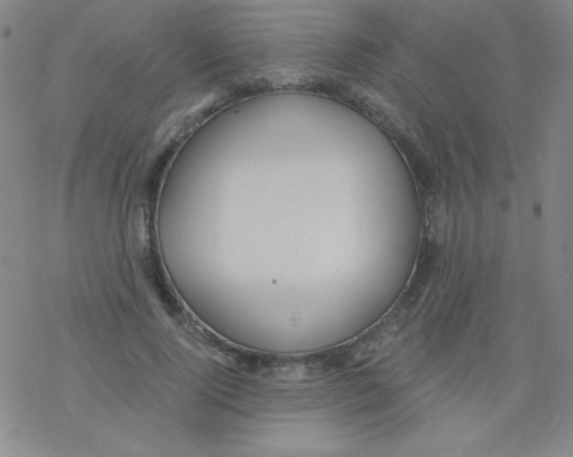 X0000076230740200610261850