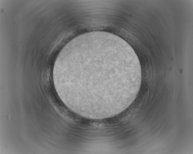 X0000076230742200610261850