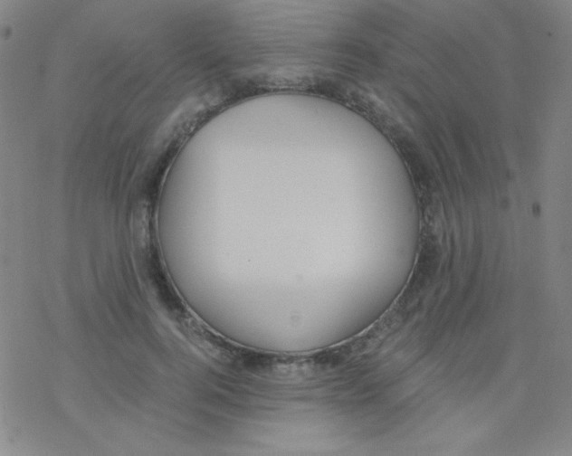 X0000076230744200610261850